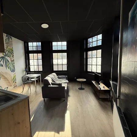 La Symphonie 2 En Centre-ville Appartement *